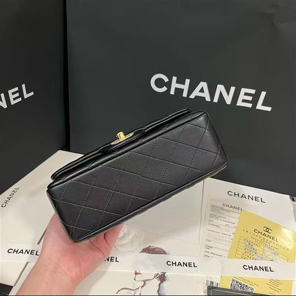 2026127205646559 380